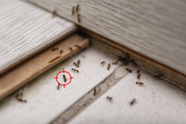 Best Residential Pest Control  in Arkansas City, KS