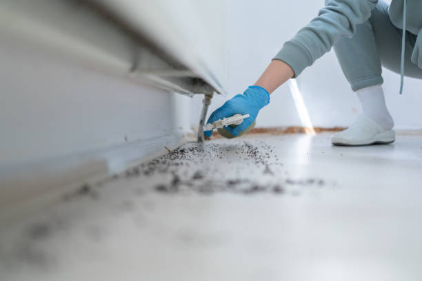 Best Wildlife Control Services  in Arkansas City, KS