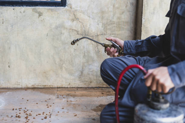 Best Local Pest Control Services  in Arkansas City, KS